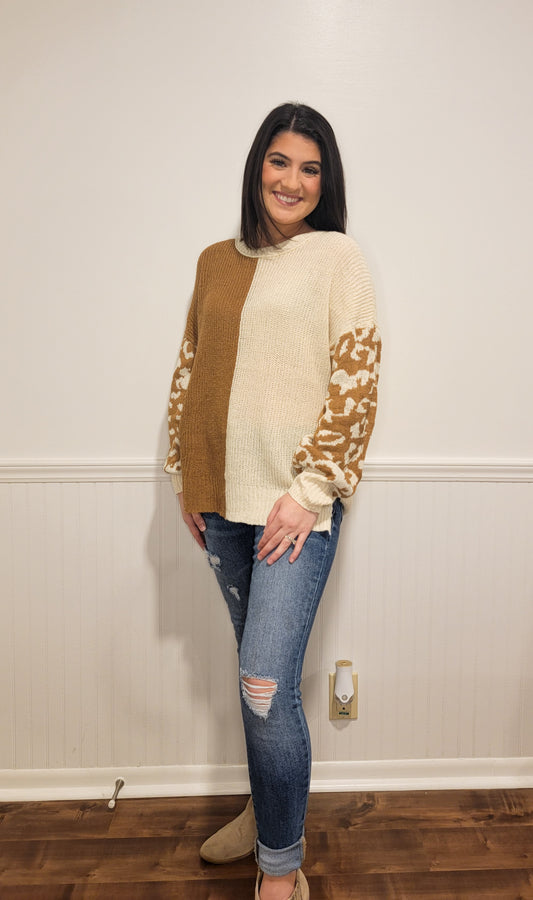 Leopard & Lattes Colorblock Sweater