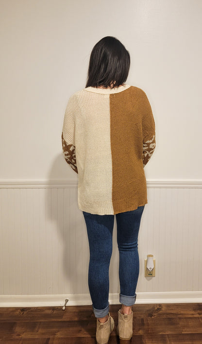 Leopard & Lattes Colorblock Sweater